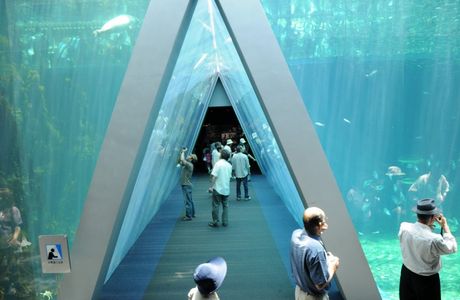 Aquamarine Fukushima