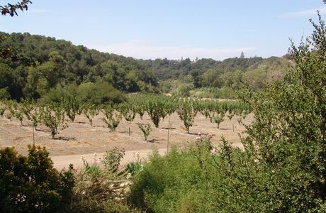 Ventura County Wine Trail