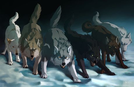 Three Wolf