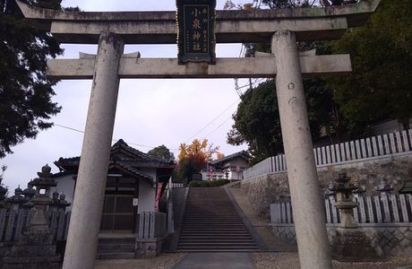 Meta Shrine