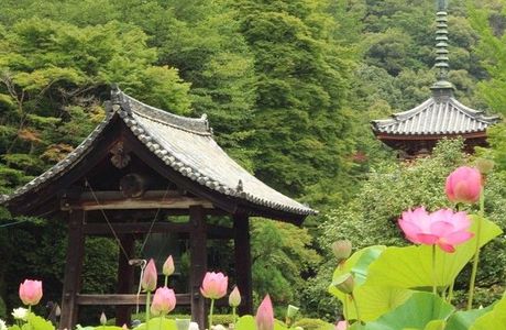 Mimurotoji Temple