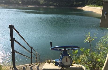 Otoikeno Tanuki Ayame