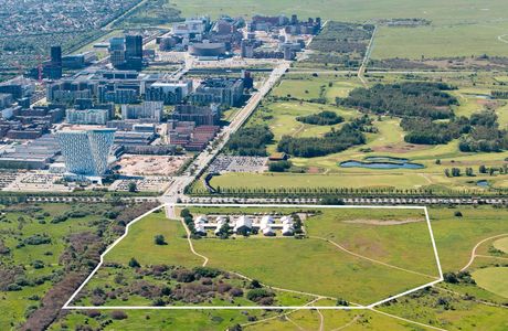 Amager Fælled