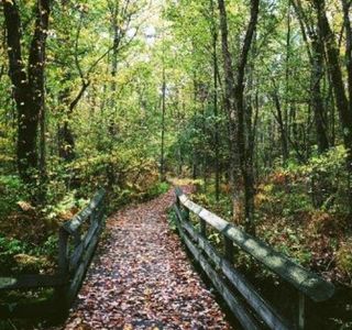 Beaver Lake Nature Center
