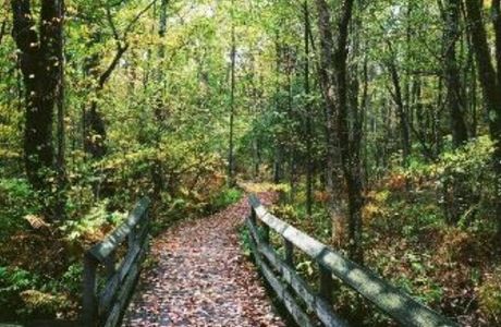 Beaver Lake Nature Center