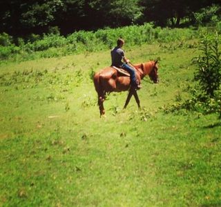 Apple Valley Stables