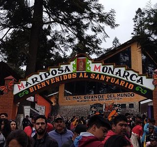 El Rosario Monarch Butterfly Preserve