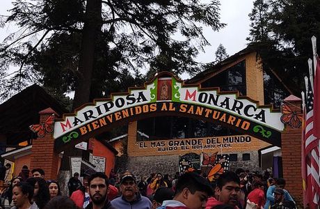 El Rosario Monarch Butterfly Preserve