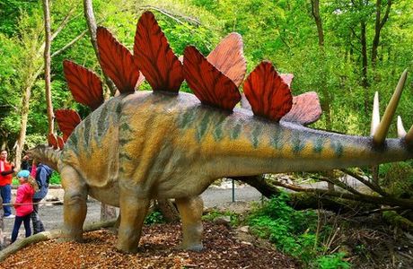 DinoPark Koice