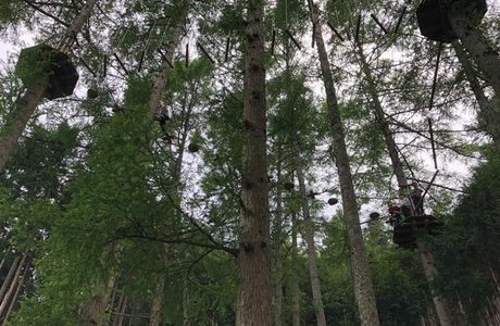 Forest Adventure Kosuge