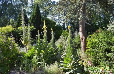 Jardin Botanique du Beau Pays