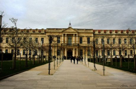 Institut MY