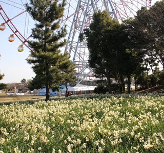 Kasai Rinkai Park