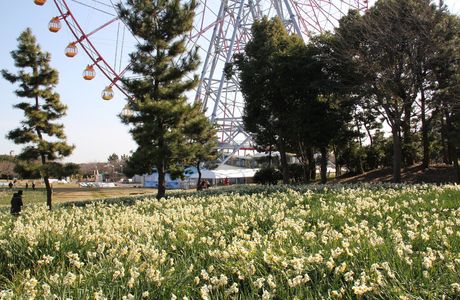 Kasai Rinkai Park