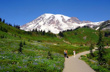 Paradise Loop