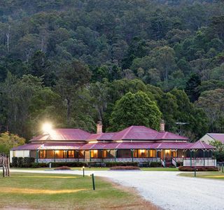 OReillys Canungra Valley Vineyards
