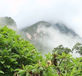 Pha Daeng National Park