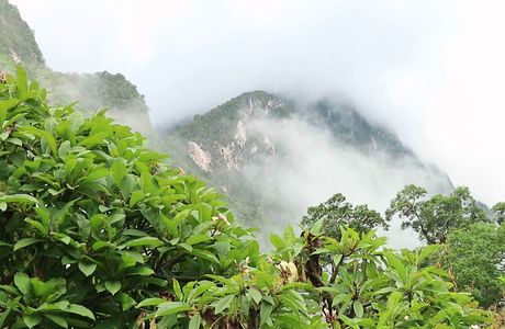 Pha Daeng National Park