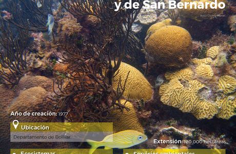 Parque Nacional Natural Corales del Rosario y San Bernardo