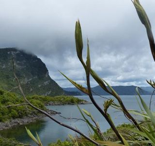 Te Urewera National Park
