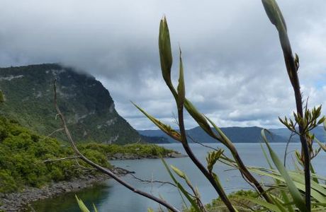 Te Urewera National Park