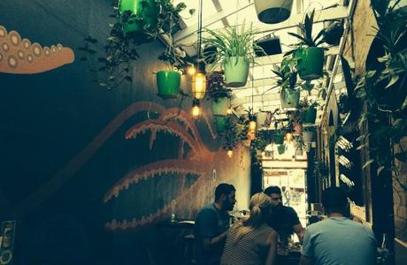 The Newport Hotel Bars