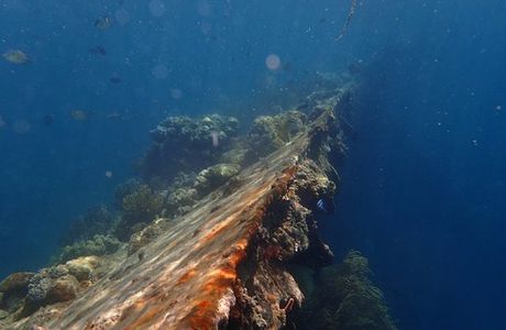Sunken Japanese Wrecks