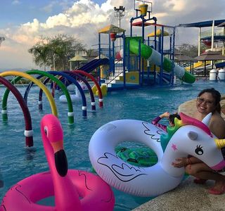 Wacky Waterpark