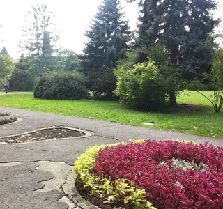 Botanic Park