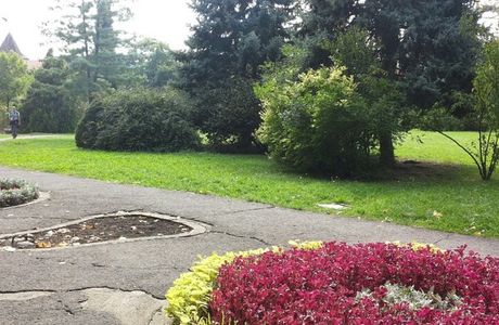 Botanic Park