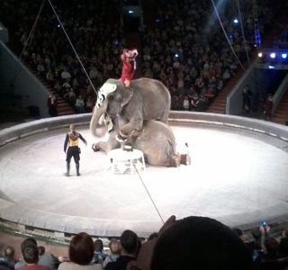 Kemerovo State Circus