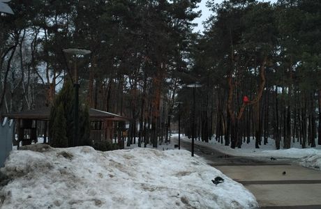 Park Alyye Parusa
