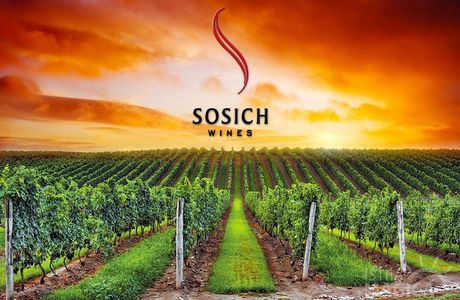Sosich Wines