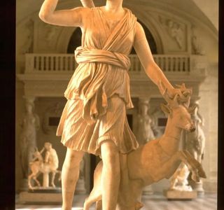 Taxi Artemis