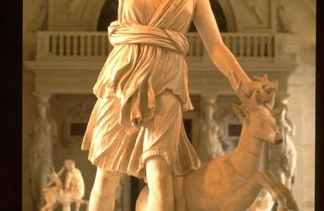 Taxi Artemis