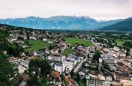 Querbeet Bio & Mehr
