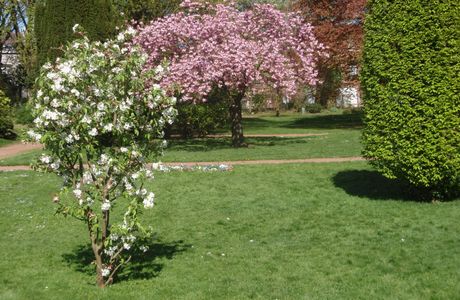 Jardin Botanique de Tourcoing