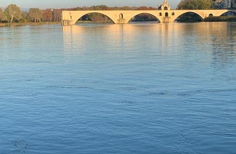 Ile de la Barthelasse