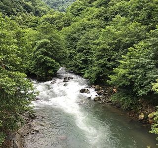 National Park Kintrishi