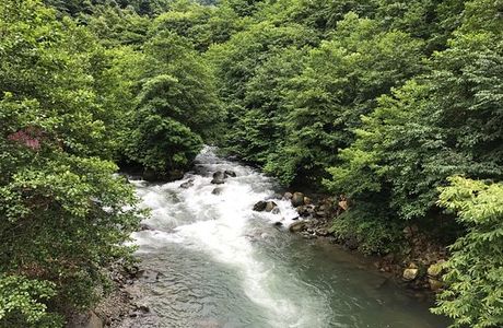 National Park Kintrishi