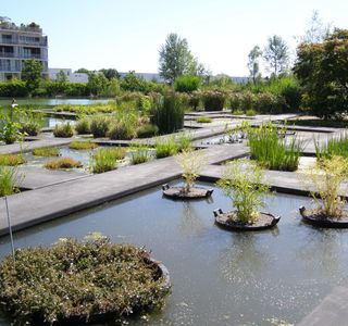 Jardin Botanique de Bordeaux