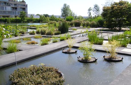 Jardin Botanique de Bordeaux