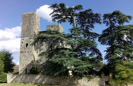Château de Sainte-Mère