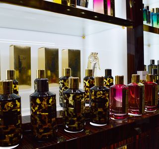 Arquinesia Perfumes