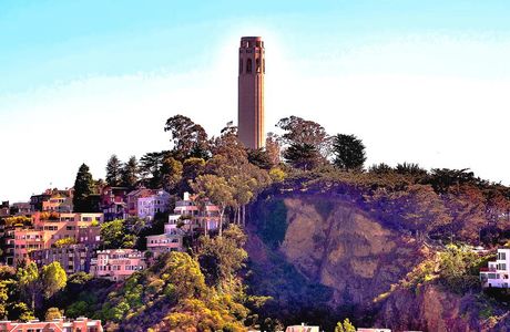 Telegraph Hill Olivery