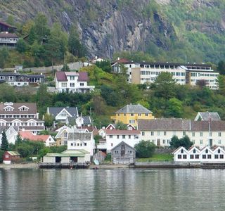 Vedahaugane