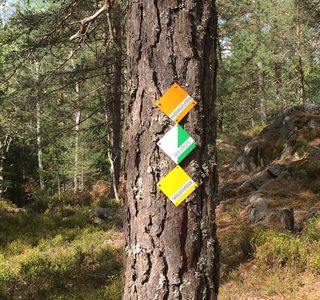 Flemingsbergsskogens naturreservat