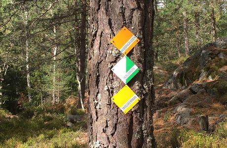 Flemingsbergsskogens naturreservat