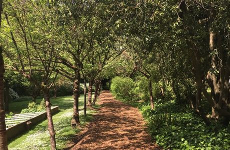 Highdown Gardens