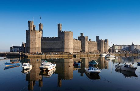 The Castle